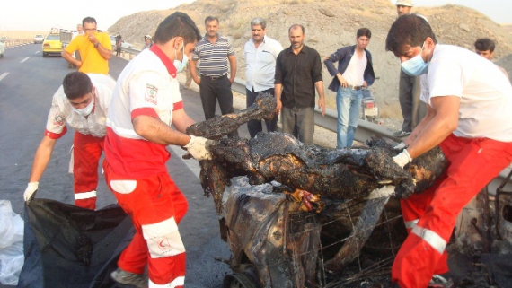 رهاسازی سرنشینان خودرو دچارحریق شده+ تصاویر