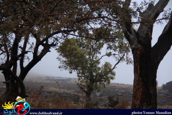 تماشای طبیعت پاییزی همدان از دریچه دوربین