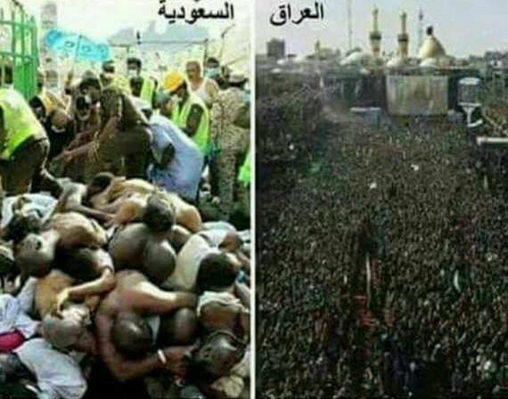27 میلیون زائر حسینی بدون تلفات، 2 میلیون حاجی با 7 هزار کشته!