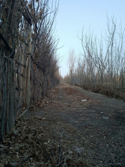 قاسم اباد همدان