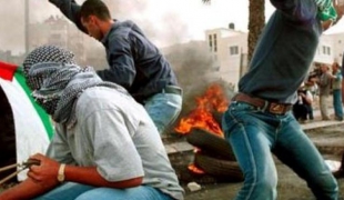 فیلم/انتفاضه قدس همچنان شعله ور