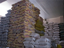 واردات ۱۴۹ هزار تن برنج در ۲ ماهه اول سال جاری/ ممنوعیت وارد برنج فقط یک شوخی بود!