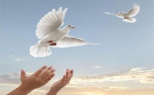 آزادی 130مددجوی اردوگاه کار درمانی و حرفه آموزی همدان