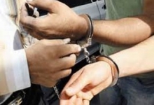 دستگيری سارقان باغات میوه در ملاير 
