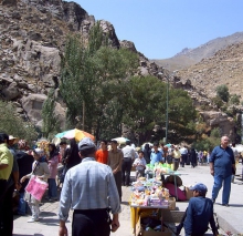 جولان دستفروشان در گنج نامه تمام ندارد