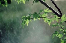 کاهش دمای روزانه/بارش باران در همدان ادامه دارد