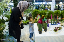کلینیک تخصصی گل و گیاه در همدان راه‌اندازی شد