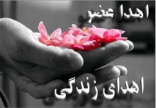 اهدای اعضای جوان مرگ مغزی در همدان