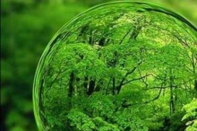 جشنواره فیلم سبز دغدغه حفظ محیط زیست را تقویت می‌کند