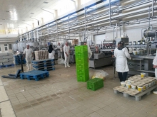 کارافرین موفق همدانی