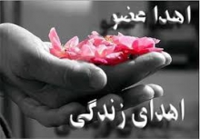 اهدای عضو در همدان