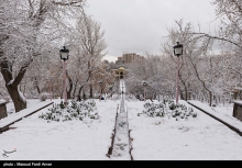 برف زمستانی