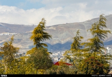 وزش باد