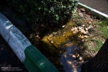 سرپرست حفاظت محیط زیست استان همدان 