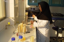دامپزشکی
