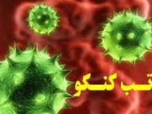 مورد مثبتی از تب کریمه- کنگو در همدان مشاهده نشده است