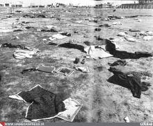 25تیرماه 61 نفیری شوم مصلای نماز جمعه همدان را در هم ریخت / از یک خانواده 11 نفر به‌شهادت رسیدند/قدس خونین در همدان 
