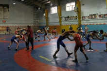 جمعیت خانه کشتی همدان رو به رشد است