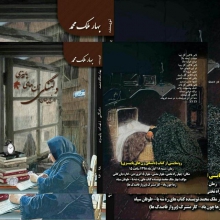 آرزو دارم هیچ زنی پاییز را به عنوان دلتنگی نگاه نکند / قصد دارم خاطرات همسران شهدای مدافع حرم همدان را بنویسم 
