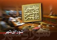 اظهارات هنجارشکنانه عضو شورای شهر در واکنش به مخالفت اعضا با اجرای برنامه های پر هزینه