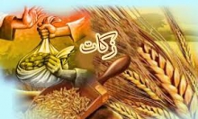 طی 9 ماهه امسال؛۱۰ میلیارد تومان زکات از سراسر استان همدان جمع‌آوری شد
