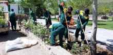 منطقه یک شهر همدان فرش گُل می شود