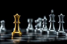 درخشش بانوی ملایری در مسابقات بین المللی شطرنج آنلاین