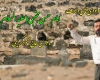 فیلم/ مولدی ولادت امام حسن مجتبی(ع) - کریمی+دانلود