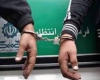 انهدام باند بزرگ سارقان و کشف 18 فقره سرقت احشام در رزن 