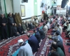 شعار مرگ بر آل سعود در مراسم یادبود شهید همدانی فاجعه منا طنین انداز شد شعار مرگ بر آل سعود در مراسم یادبود شهید همدانی فاجعه منا طنین انداز شد
