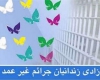 آزادی 108 زندانی جرايم غير عمد در همدان
