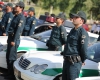 22 نفر سارق در طرح عملياتي پليس همدان دستگیر شدند