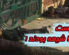 فیلم/ اصلامهم نیست ، آن ها شیعه بودند !