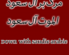 شعار «مرگ بر آل سعود» ایرانیان در فضای مجازی شعار «مرگ بر آل سعود» ایرانیان در فضای مجازی