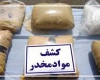 دستگیری 2 سوداگر مرگ و کشف 20 کيلوگرم ترياک در کبودراهنگ دستگیری 2 سوداگر مرگ و کشف 20 کيلوگرم ترياک در کبودراهنگ