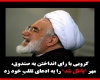 مهدی کروبی به ادعای تقلب خود در انتخابات مهر"باطل شد" زد