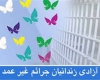 مدیرعامل ستاد دیه استان همدان مدیرعامل ستاد دیه استان همدان