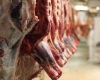 قیمت گوشت در همدان