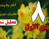 هشتم ربیع