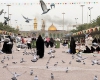 عمره دانشجویی