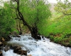 سراب فارسیان