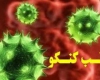 مورد مثبتی از تب کریمه- کنگو در همدان مشاهده نشده است