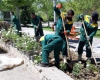 منطقه یک شهر همدان فرش گُل می شود